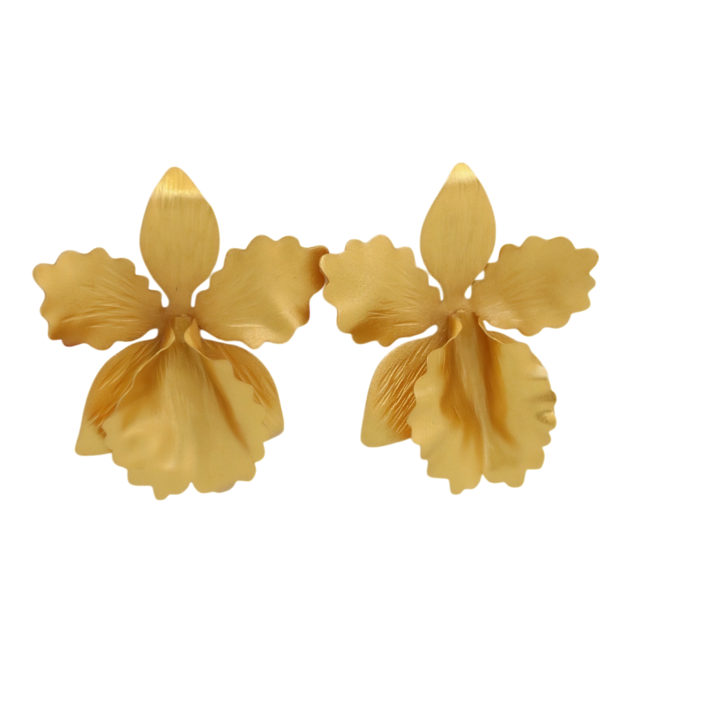 CATTLEYA