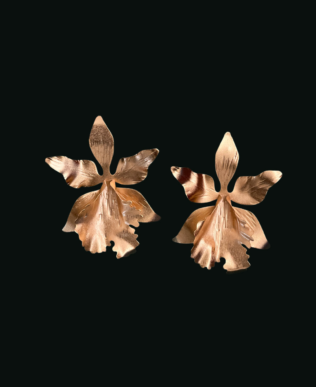CATTLEYA
