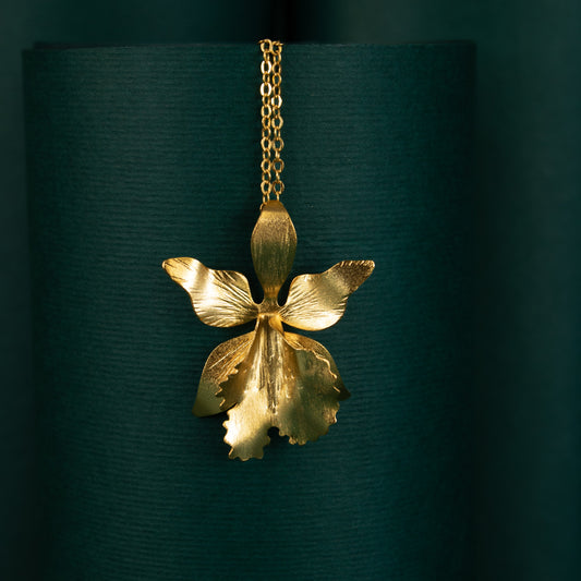 Collar cattleya
